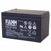 Fiamm FG21202 lead acid battery 12 Volt