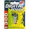 Bloc de batterie AccuPower AP300-2 9V rechargeable