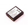 AccuPower accumulatore per Rollei Prego DP8300, 02491-0028-01