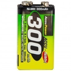 AccuPower AP300-2 9V batería recargable